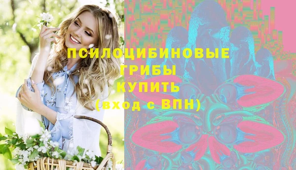 jwh Бородино