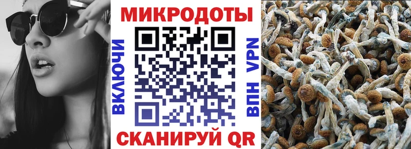Галлюциногенные грибы прущие грибы  Ессентукская 